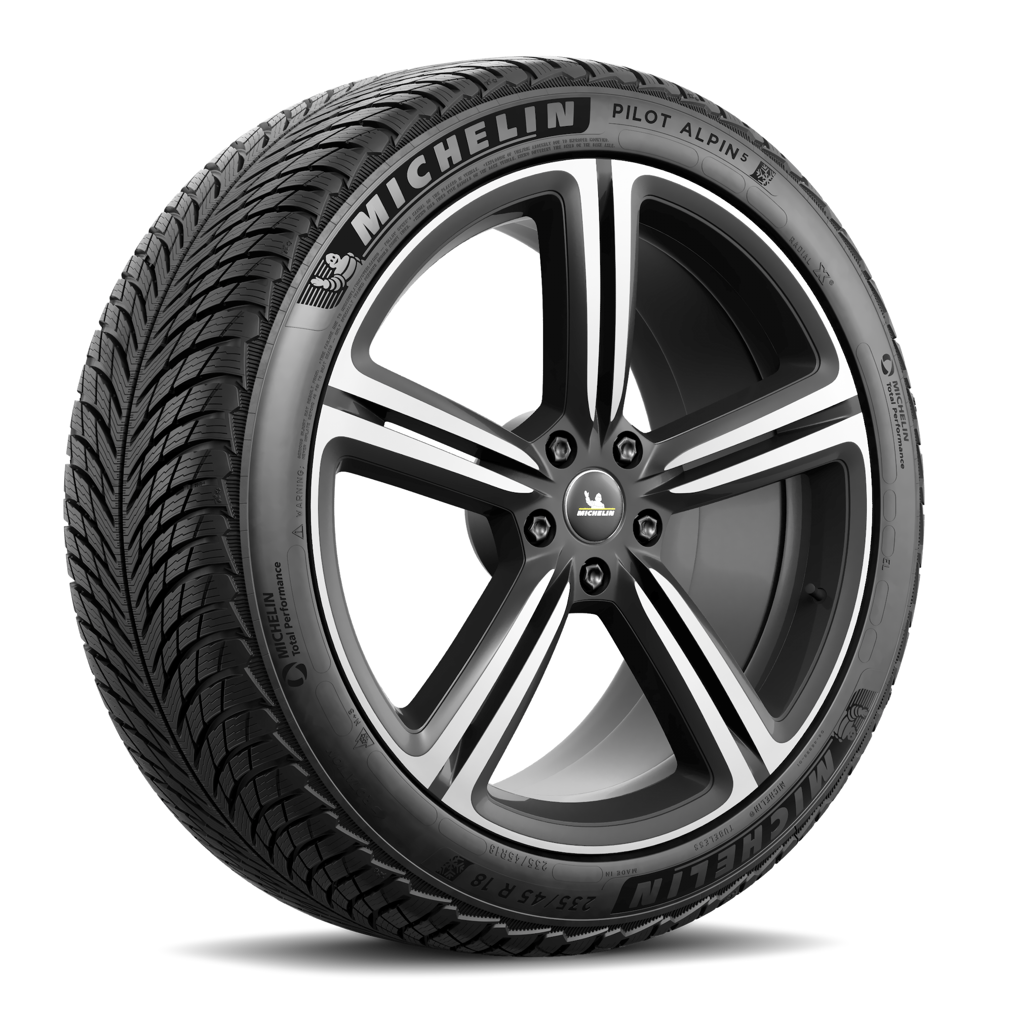 �������� 235/40 R19 96W XL PILOT ALPIN 5 �� �������� ���-������
